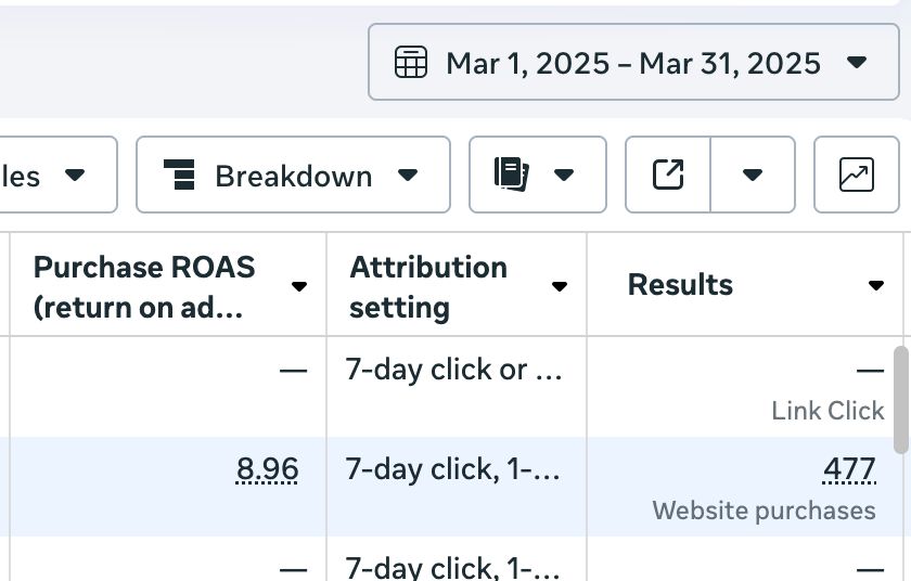 Meta Ads High ROAS Results - 8.96x