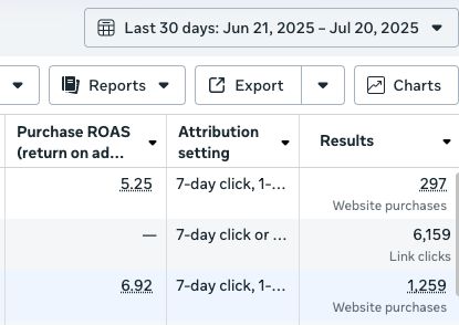 Meta Ads Multiple Campaign Results